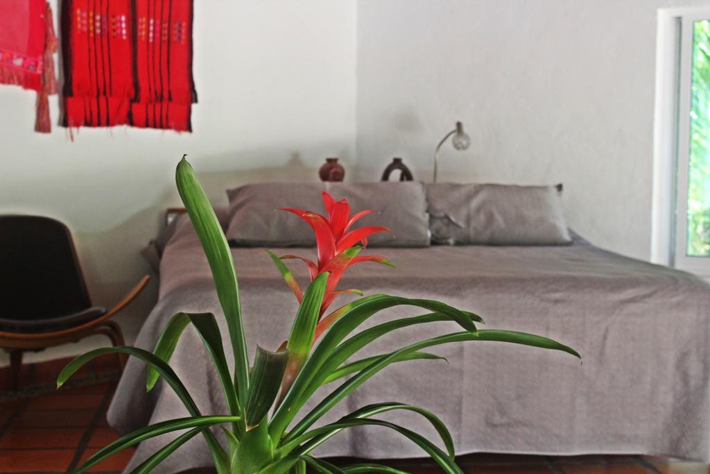 أكومال Hotel Que Onda المظهر الخارجي الصورة